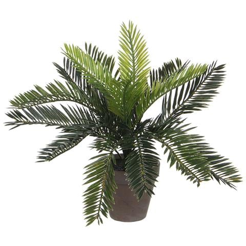 Pianta Decorativa Ceramica Palma (11,5 X 33 Cm) - Foto 1