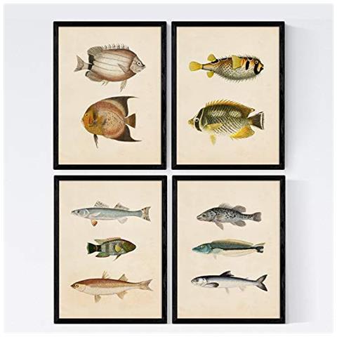 Set Di 4 Stampe Di Effetto Di Pesce Colorato Composizione Di 10 Pesci Diversi Vecchia Carta Poster Della Priorità Bassa Senza Cornice A4 - Foto 1