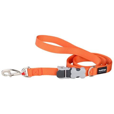 Guinzaglio Per Cani Arancio - Foto 1