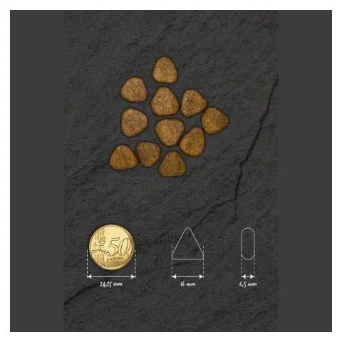 Per Cane Adult Medium Con Pollo E Patate 12 Kg - Foto 4