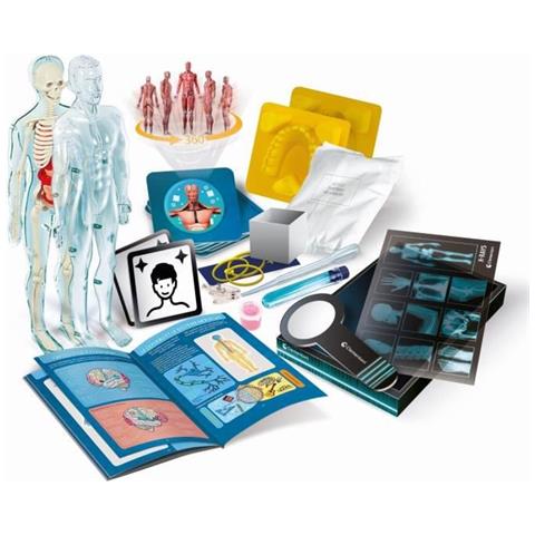 Anatomia - 52661 - Foto 1