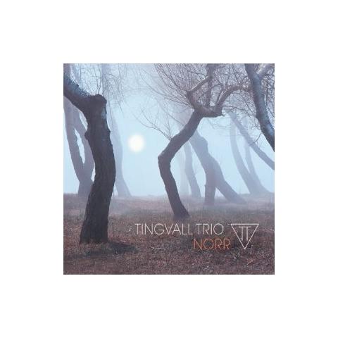 Tingvall Trio - Norr - Foto 1