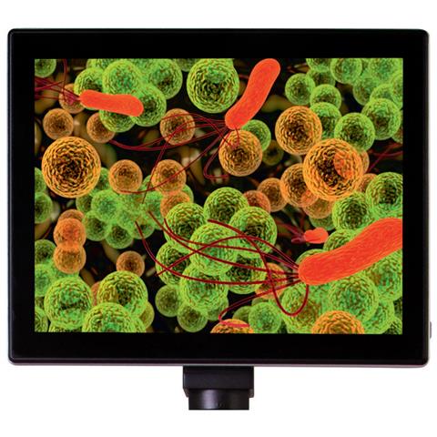 Med Fotocamera Digitale Per Microscopio Da 5m Con Schermo Ldc Da 9,4' - Foto 1