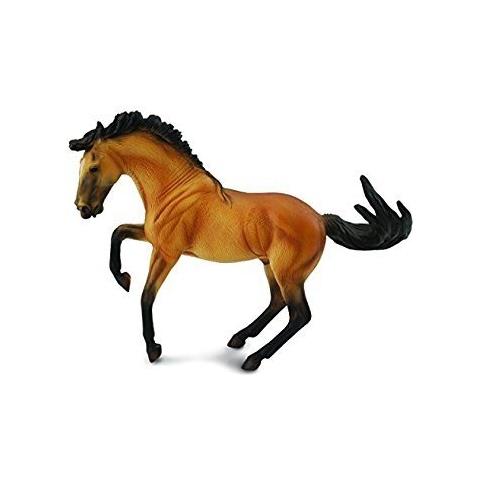 Lusitano Stallion Buckskin - Foto 1