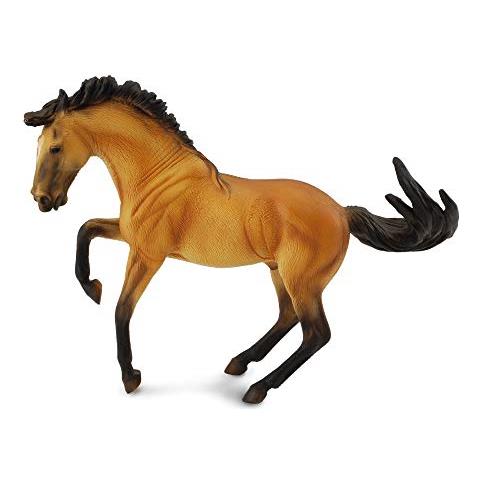 Lusitano Stallion Buckskin - Foto 2