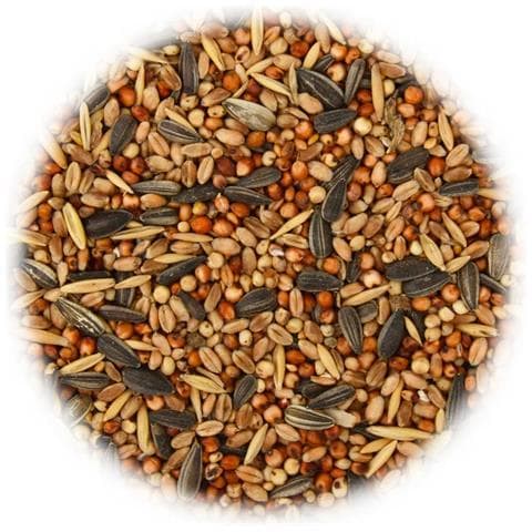 Mangime per Uccelli 25 kg - Foto 2