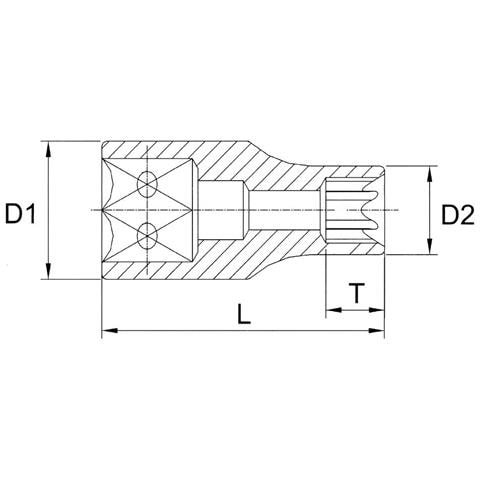 Chiave A Bussola Torx E12  Inserto Torx Femmina 1/2 Pollice - Foto 2