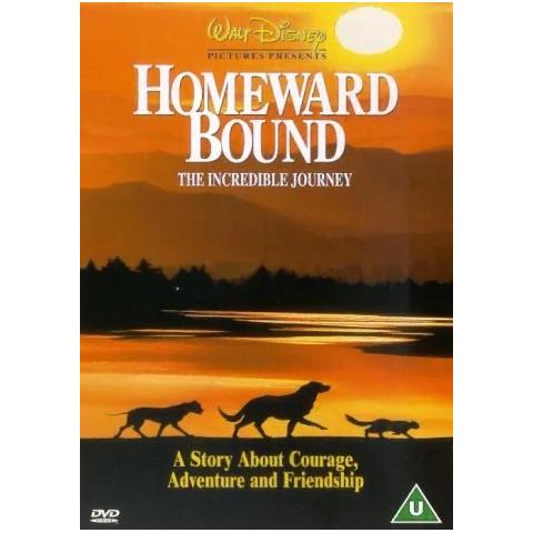 Homeward Bound: The Incredible Journey [ Edizione: Regno Unito] - Foto 1