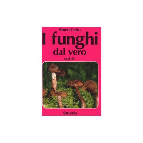 Bruno Cetto - I funghi dal vero. Vol. 6 - Foto 2