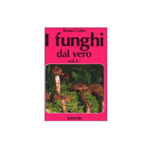 Bruno Cetto - I funghi dal vero. Vol. 6 - Foto 1