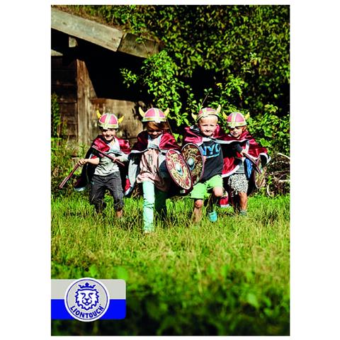 Scudo Di Viking - Foto 2