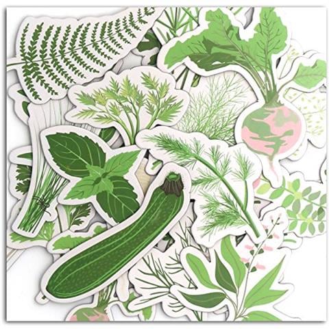 20 Die-cut Orto - Foto 1