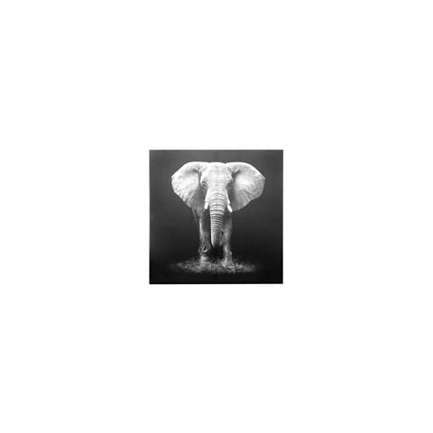 Quadro Elefante In Tela, Da 100x100 Cm Grigio - Foto 6