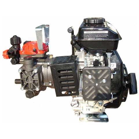 Motopompa A 2 Membrane Ar252 Con Motore 4 Tempi - Foto 1