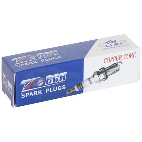 Candela 21c Torch Gl4c Per Tosaerba - Foto 1