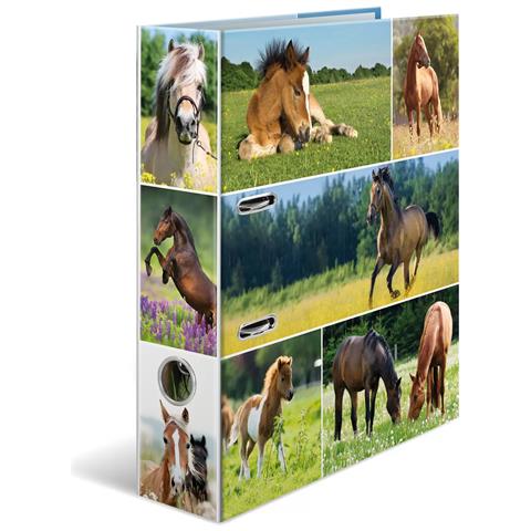 HERMA 19251 raccoglitore ad anelli A4 Multicolore - Foto 2