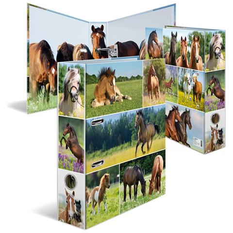 HERMA 19251 raccoglitore ad anelli A4 Multicolore - Foto 1