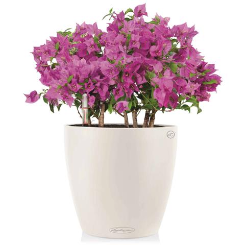 Vaso Classico Color 35 Bianco Ø34,5xh32,5cm - Foto 10