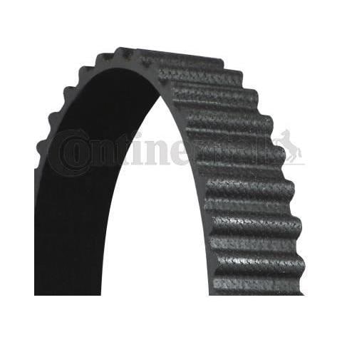 Cinghia Dentata Ct980 - Foto 1