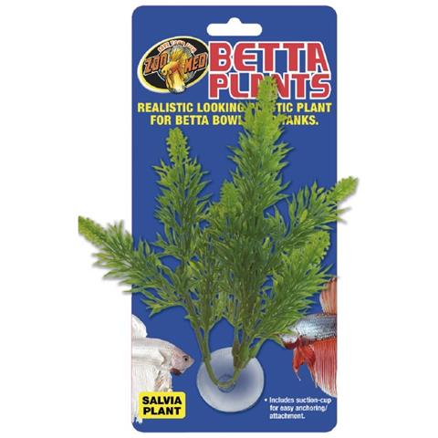 Betta Planta De Salvia 20 Gr - Foto 1