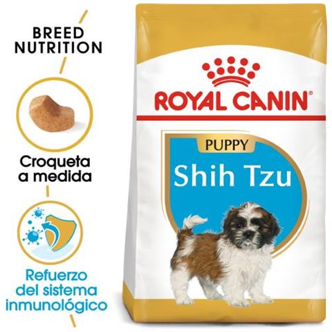 Shih Tzu Junior 1500g Cucciolo - Foto 1
