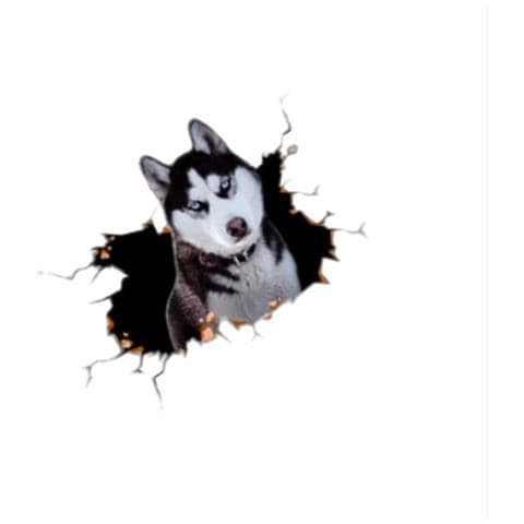 Adesivi 3d Creativi Per Auto Con Husky - Set Da 2, Decorazione Auto Divertente E Protettiva - Foto 2