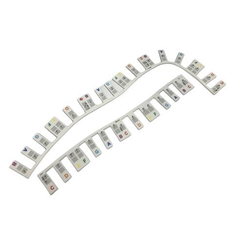 Etichette Rimovibili Per Pianoforte E Tastiera 61 Tasti White - Foto 9