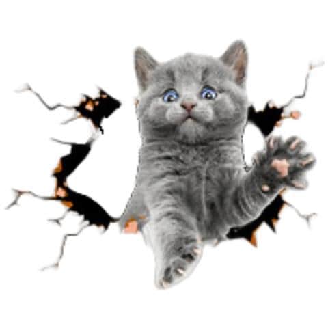 Adesivi Auto 3d Gatto Grigio Creativo - Set Da 2, Decorazione Auto Divertente E Protettiva - Foto 1