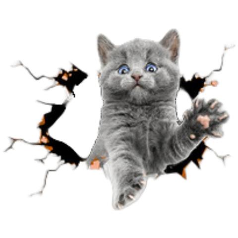 Adesivi Auto 3d Gatto Grigio - Set Da 2, Design Creativo E Divertente - Foto 1