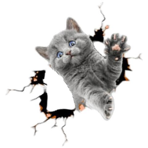 Adesivi Auto 3d Gatto Grigio - Set Da 2, Design Creativo E Divertente - Foto 3