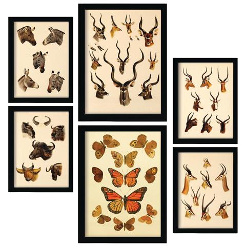 Set Di 6 Stampe Animali In Stampe Vintage, Dipinti Decorativi Estetici Per Il Tuo Soggiorno, Camera Da Letto, Casa A3 & A4 Cornice Nera - Foto 1