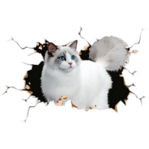 Adesivi Auto 3d Gatto Persiano Grande E Creativo (set Da 2) - Foto 1