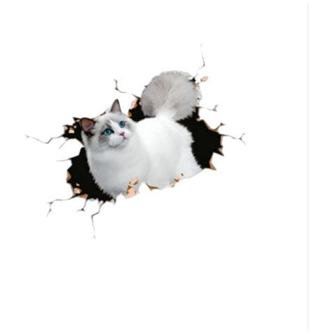 Adesivi Auto 3d Gatto Persiano Grande E Creativo (set Da 2) - Foto 2