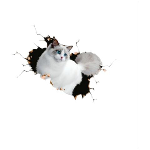 Adesivi Auto 3d Gatto Persiano Grande E Creativo (set Da 2) - Foto 3