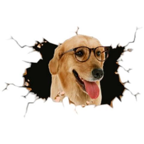 Adesivi 3d Per Auto Con Golden Retriever - Set Da 2, Design Creativo E Simpatico - Foto 1