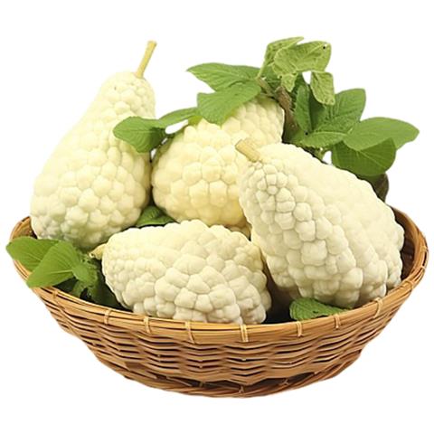 Semi Di Balsamina Cucumerina Melone Amaro Cinese Bianco Set 10 Pezzi - Foto 1
