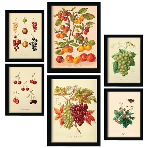 Set Di 6 Stampe Bacche In Stampe Vintage, Dipinti Decorativi Estetici Per Il Tuo Soggiorno, Camera Da Letto, Casa A3 & A4 Cornice Bianca - Foto 1