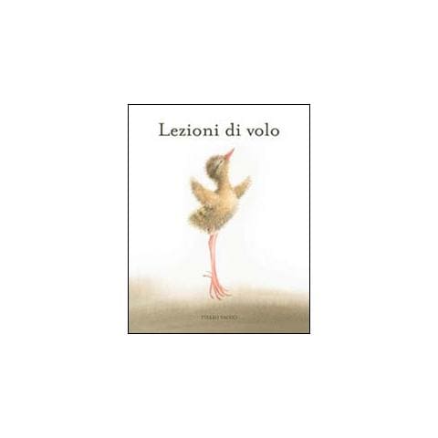 Vainio Pirkko - Lezioni di volo. Ediz. illustrata - Foto 1