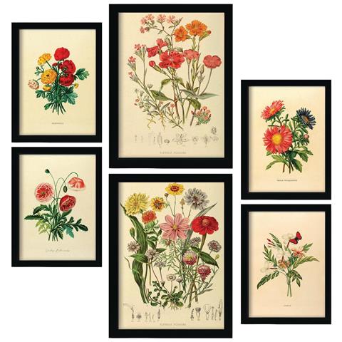 Set Di 6 Stampe Bouquet 2 In Stampe Vintage, Dipinti Decorativi Estetici Per Il Tuo Soggiorno, Camera Da Letto, Casa A3 & A4 Cornice Bianca - Foto 1