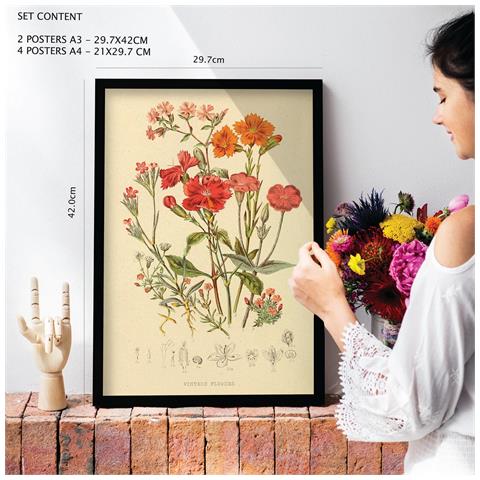 Set Di 6 Stampe Bouquet 2 In Stampe Vintage, Dipinti Decorativi Estetici Per Il Tuo Soggiorno, Camera Da Letto, Casa A3 & A4 Cornice Bianca - Foto 2