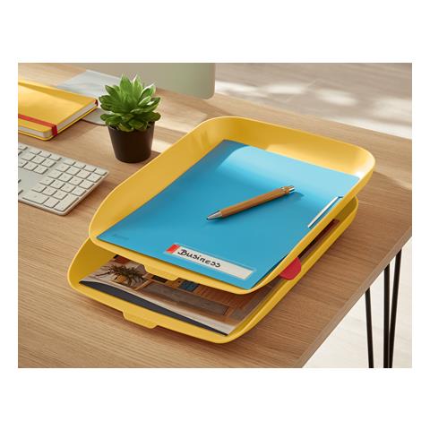 Cf2 Cosy Vaschet. Portacorr. Giallo - Foto 2