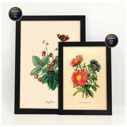 Set Di 6 Stampe Farfalle In Stampe Vintage, Dipinti Decorativi Estetici Per Il Tuo Soggiorno, Camera Da Letto, Casa A3 & A4 Cornice Nera - Foto 1