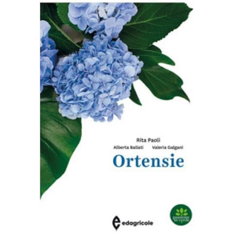 Rita Paoli - Ortensie - Foto 1