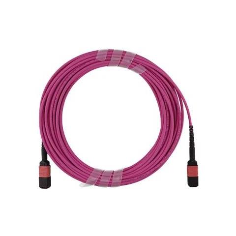 JE6E608QE8-NB001M-BO cavo InfiniBand e in fibra ottica 1 m MTP Viola - Foto 1