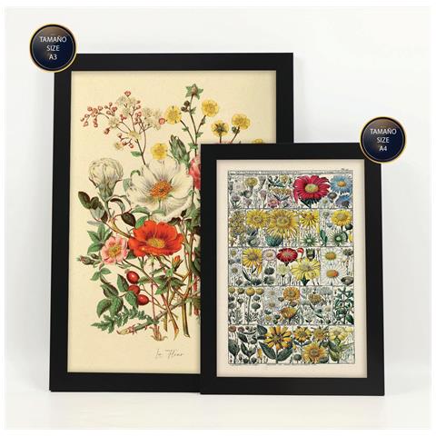 Set Di 6 Stampe Anatomia Dei Fiori In Stampe Vintage, Dipinti Decorativi Estetici Per Il Tuo Soggiorno, Camera Da Letto, Casa A3 & A4 Cornice Nera - Foto 1
