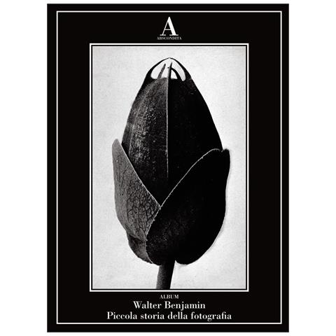 Walter Benjamin - Piccola storia della fotografia - Foto 1