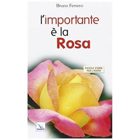 Bruno Ferrero - L'importante è la rosa - Foto 2
