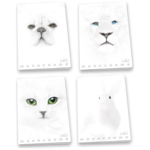 Cf10 Maximonocromo White5m A4 100g - Foto 1