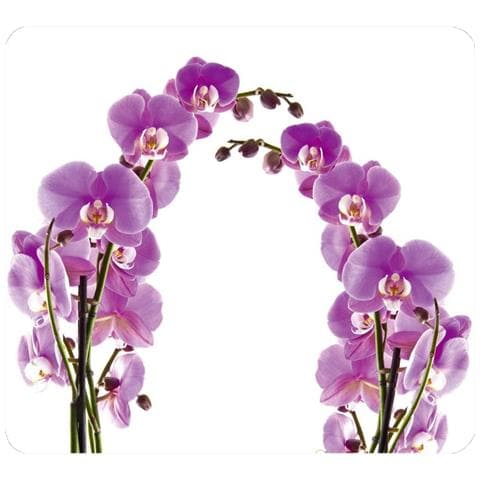 WENKO Piastra Protettiva In Vetro Orchid Flower Per Fornello - Grande Wenko