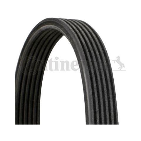 Accessorio Strap 6dpk1697 - Foto 1